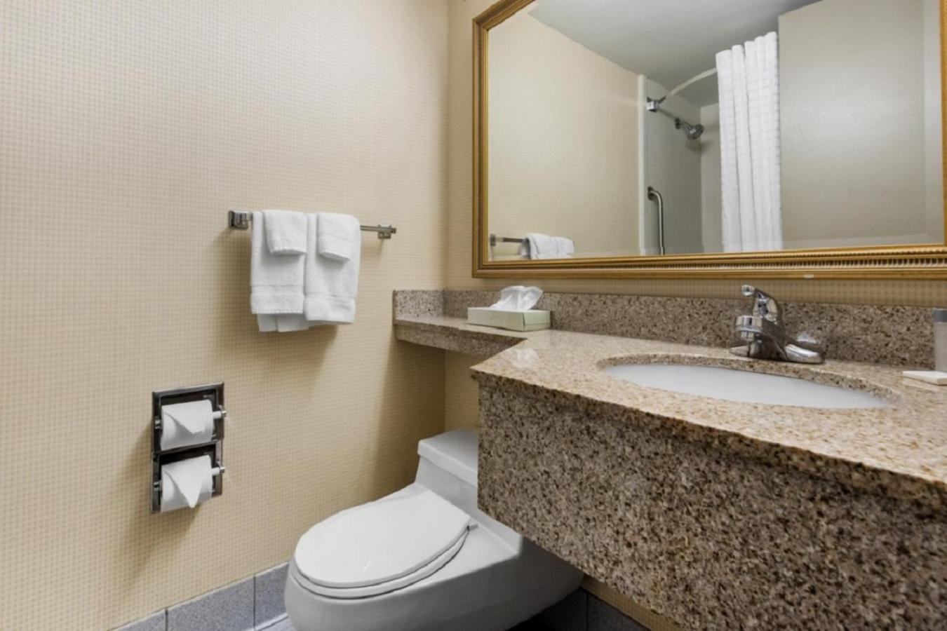 Quality Inn & Suites Charleston - Civic Center Экстерьер фото